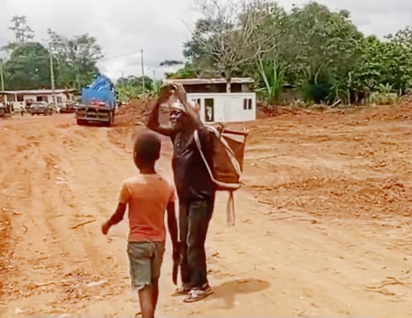 Le CTRI prêche l'entreprenariat mais détruit les plantations des Gabonais